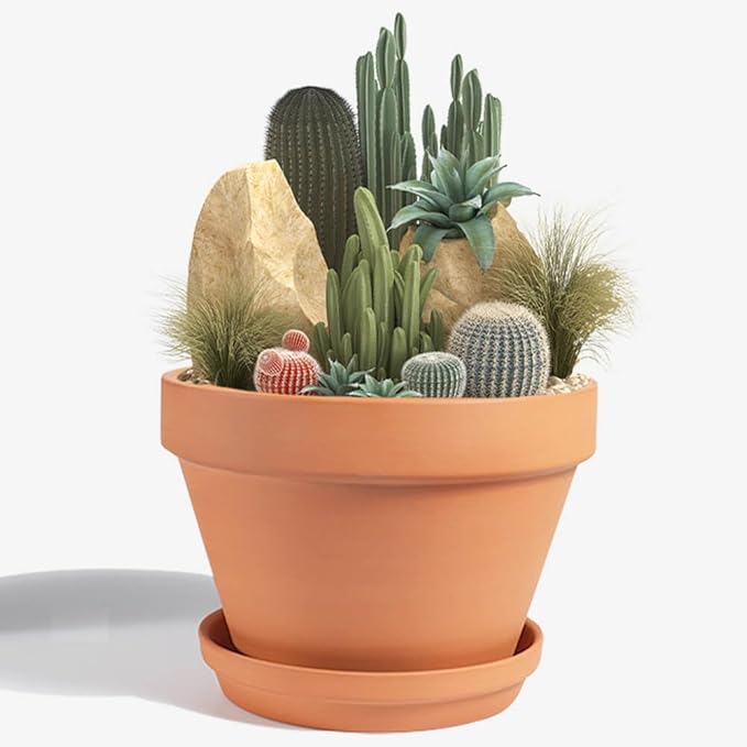 vensovo 8 Inch Terracotta Pots with Saucer - 1 Pack Large Terra Cotta Pot with Drainage Hole, Clay Planters Pot for Indoor Outdoor Plant