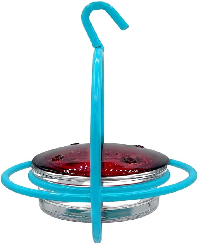 Hummingbird Feeder for Outdoors Hanging, 3.4 OZ Hummingbird Feeders, Glass Bowl with 4 Feeding Ports, Leak Proof Lid & Circular Perch, Bird Feeder (1, Aqua Blue)