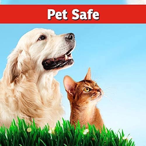 I Must Garden Deer Repellent - Ready to Use (2 Pack - 32oz RTU)