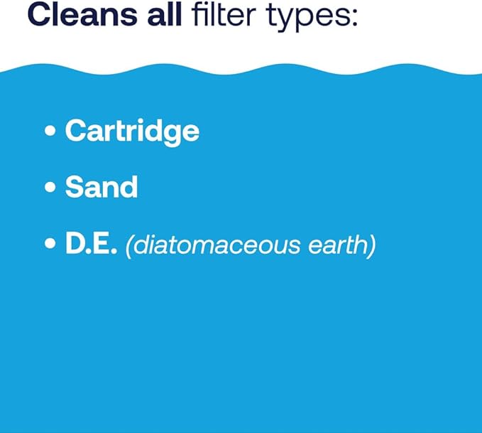 HTH 67227 Swimming Pool Care Filter Cleaner, Quickly and Effectively Cleans and Prolongs Life of Pool Filter, Improves Filtration Efficiency, Compatible with All Filter Types, 32oz