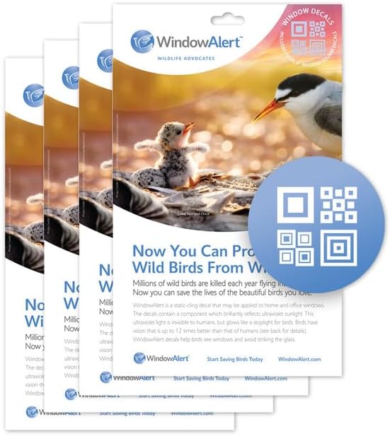 WindowAlert Modern Square Anti-Collision Decal 4 Pack - UV-Reflective Window Decal to Protect Wild Birds from Glass Collisions - Made in The USA