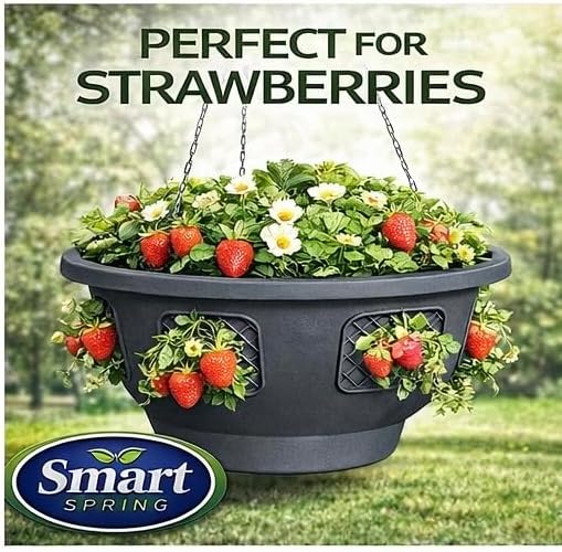 Hanging Planter Basket 10 Pack Bulk, Easy Fill Strawberry Planter, Outdoor Hanging Basket with Side Planting Panels, Durable UV Resistant Planters, Made in USA, 10, Gray