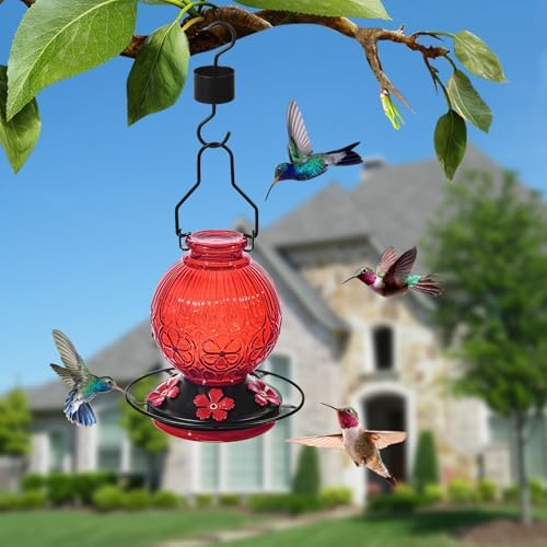 Glass Hummingbird Feeders for Outdoors Hanging Red +Green