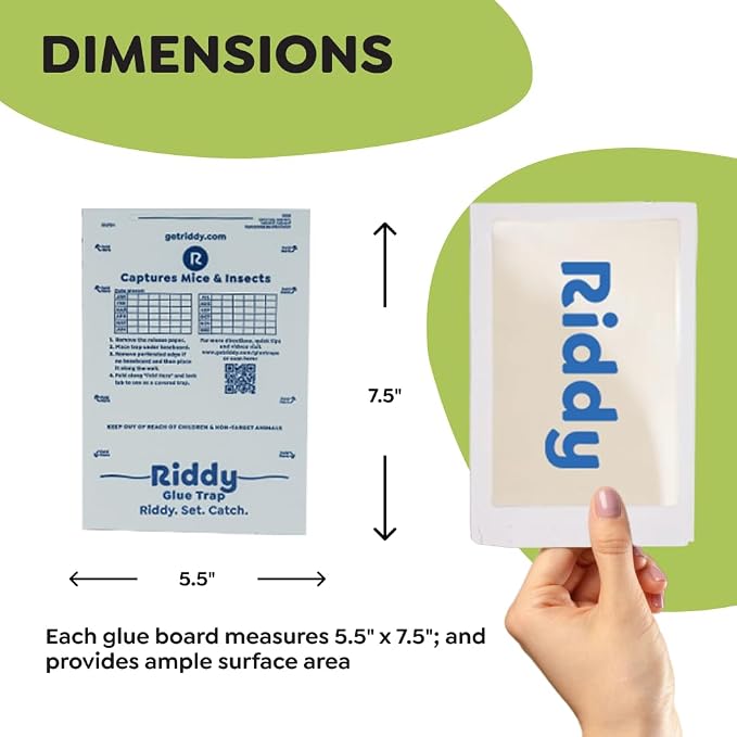 Riddy Glue Boards, 12 Boards, Pre-Baited, Ready to Use Mouse Traps Indoor for Home, Sticky Adhesive for Bugs and Rodents, 5.5" x 7.5"