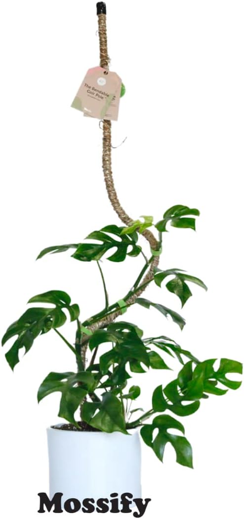 Mossify Bendable Coir Pole for Plants – 16” Premium Manila Coir Moss Pole Monstera Plant Support for Indoor & Outdoor Plant Climbing Support - Comes with Reusable Tape for Durable Plant Pole