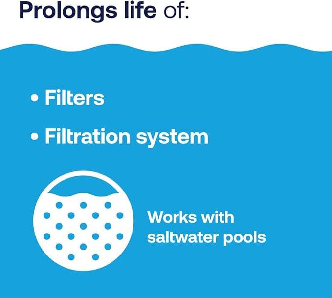 HTH 67227 Swimming Pool Care Filter Cleaner, Quickly and Effectively Cleans and Prolongs Life of Pool Filter, Improves Filtration Efficiency, Compatible with All Filter Types, 32oz