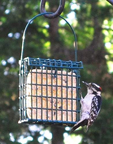 St. Albans Bay Suet Plus Bird Suet Variety Packs | 11 oz. Bird Suet Cakes | (Peanut, 15 Pack)