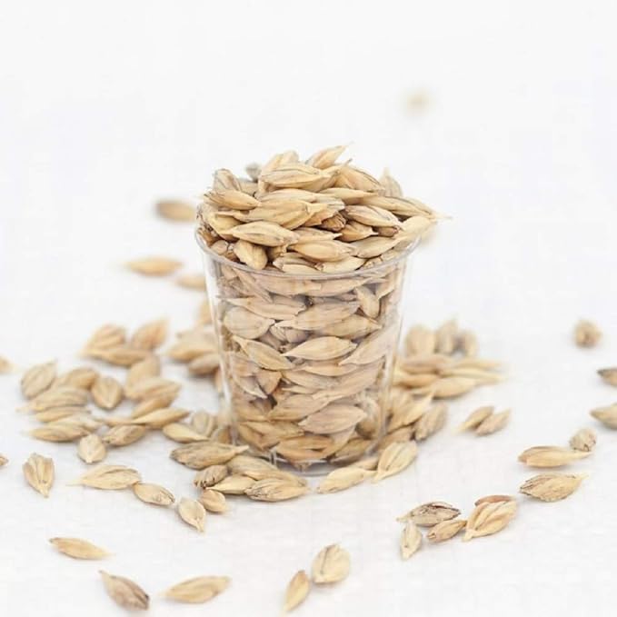 16oz Cat Grass Seeds - Hard Red Wheat- Wheatgrass Non GMO - Country Creek Acres LLC - Grown in The USA