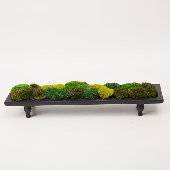 Only Moss No Bowl 4 Color Mix Pack Preserved Pole Moss Pillow Bun Cushion Natural Decorative Green DIY Kit Art Wall Florist Easter Decor (1.5 sq.ft, Green-A,B,C,D)