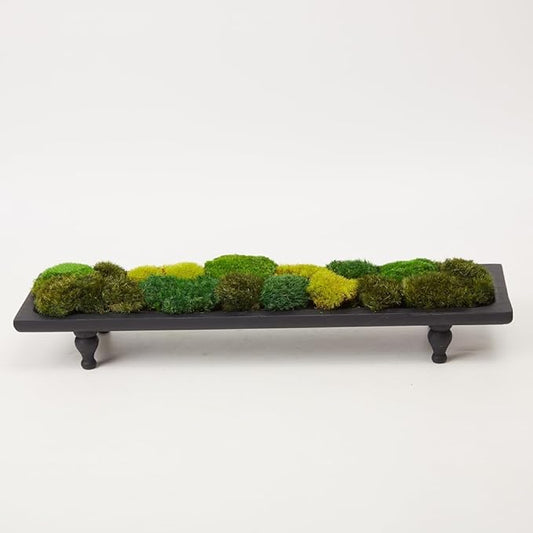 Only Moss No Bowl 4 Color Mix Pack Preserved Pole Moss Pillow Bun Cushion Natural Decorative Green DIY Kit Art Wall Florist Easter Decor (1.5 sq.ft, Green-A,B,C,D)