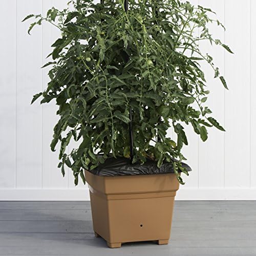 EarthBox 81755 Garden Kit, White