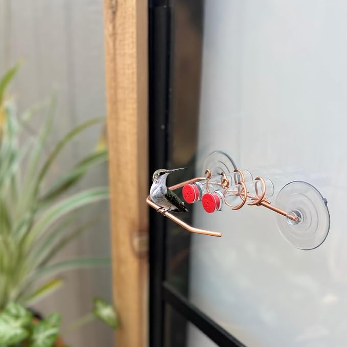Duo Feeder | Window Hummingbird Feeder | Copper and Aluminum | Multiple Stations | Modern Hummingbird Feeder | Glass Bottles | Suction Cups (Copper, Two Station - Wide Perch)
