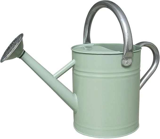 Metal Watering Can 1 Gallon with Removable Spout, Ideal Plant Watering Can for Indoor and Outdoor Plants (One Gallon Creamgreen)