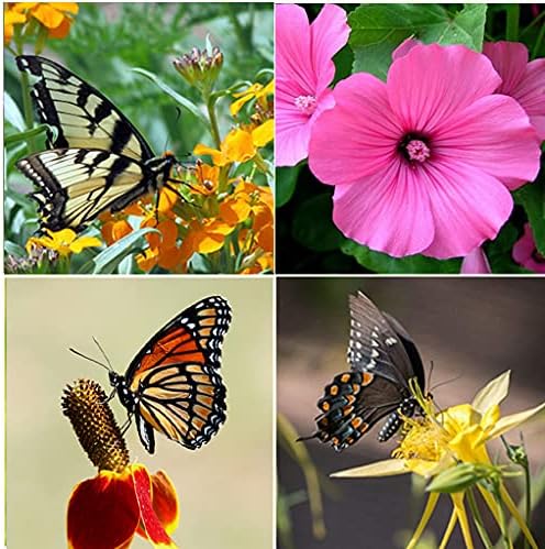 Perennial Wildflower Seeds Package with 25 Different Varieties 100,000 Seeds, Hummingbird and Butterfly Garden, Popular Perennial Flower, Non-GMO Wildflower Mix for Your Garden