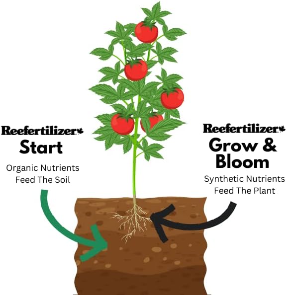 Reefertilizer Start | Mycorrhizal Fungi & Organic Kelp Meal Soil Booster for Transplant and Top Dressing | Root Enhancer and Living Soil Booster