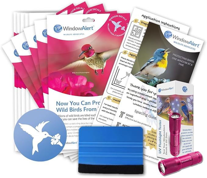 WindowAlert Hummingbird Large Starter Pack - Bird Strike Prevention Decals (12 Envelopes) with UV Tester Flashlight & Application Squeegee - Made in USA