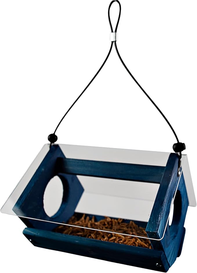Petite Bluebird Feeder with Plexiglass Roof and Powder Coated Steel Mesh Basket Bird Feeder Tray