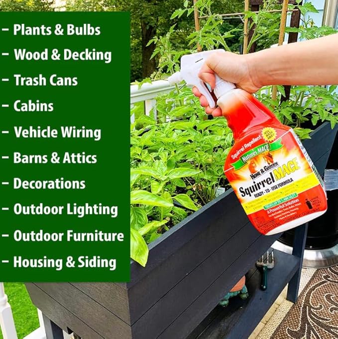 Nature's Mace Squirrel Mace, Squirrel Repellent Spray Outdoor, Combo Kit, Squirrel and Chipmunk Repellent, Keep Squirrels Out of Your Garden, Attic, Bird Feeders, Fruit Trees, Plants, Potted Plants
