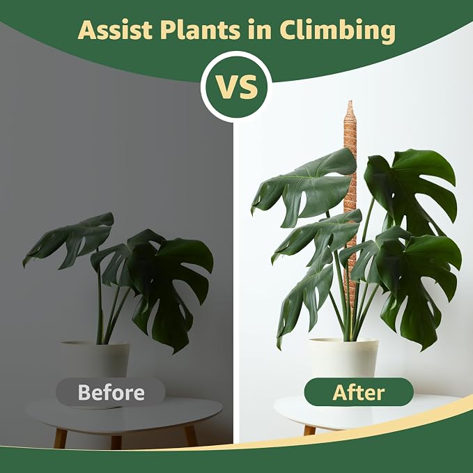 2-Pack 60in Large Moss Pole for Monstera, Bendable & Sturdy Pothos Plant Climber Support, Philodendron, Fishbone Cactus & Indoor Tropical Houseplants, Made for Coco Coir