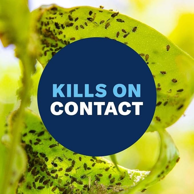 BioAdvanced Houseplant Insect and Mite Control Spray - Insecticide, Fungicide & Miticide - Ready-to-Use - Houseplant Insect Control - 24 fl oz Bottle