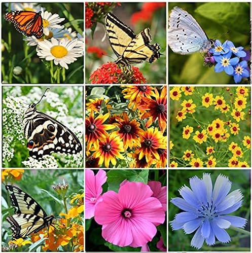 Perennial Wildflower Seeds Package with 31 Different Varieties 100,000+ Seeds, Hummingbird and Butterfly Garden Seeds, Popular Perennial Flower Seeds, Non-GMO Wildflower Seeds Mix for Your Garden