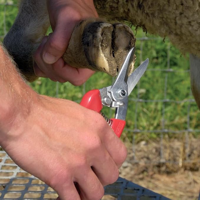 ARS 140DXR Smooth Blade Hoof Trimmer & Garden Pruning Shears