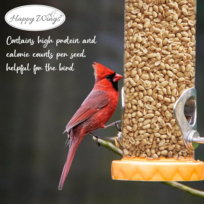 Happy Wings Shelled Peanuts Seeds Wild Bird Food - 5 Pounds I No Grow Seed I Bird Seed for Wild Birds