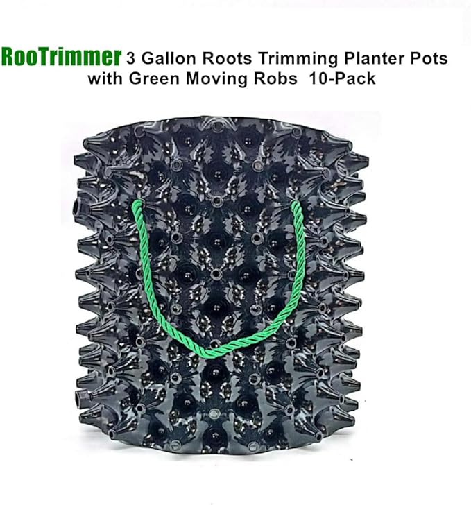 RooTrimmer 3 Gallon Air Pruning Container New Plastic Nursery Pot Fruit Vegetable Garden self-Planting pots, Size 10"x10", Black
