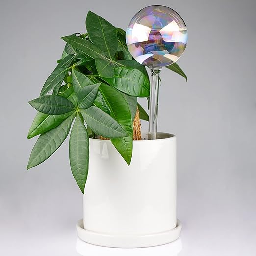 Tomorotec [3PCS] Light Iridescent Rainbow Gradient Color Clear Glass Self-Watering System Spikes, Automatic Plant Waterer Bulbs