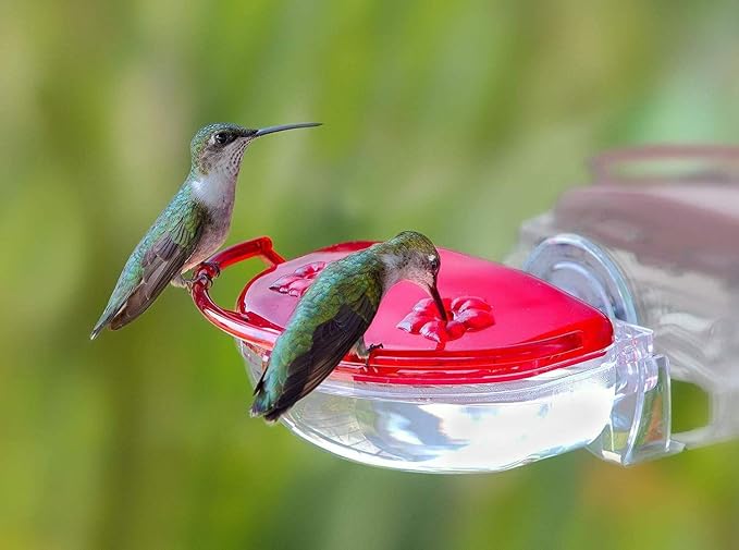 Aspects 437 (2 Pack) The Gem Window Hummingbird Feeder