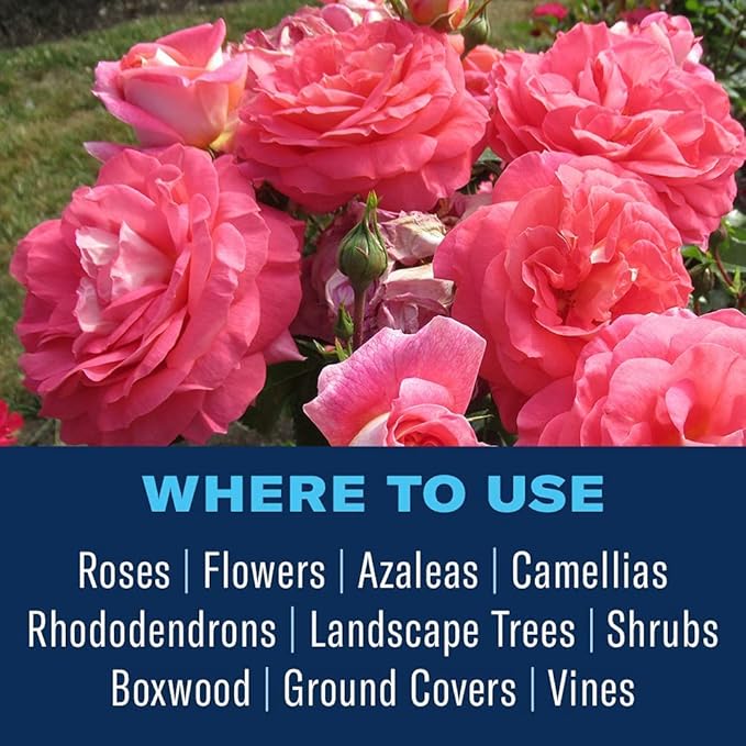 BioAdvanced Disease Control for Roses, Flowers and Shrubs, Concentrate, 32 oz with BioAdvanced All-in-One Rose and Flower Spray, Concentrate, 32 oz