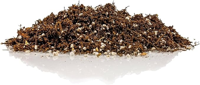 Gardenera Fern + Perlite Soil Mix for Repotting and Planting Succulents and Cactuses - 5 Quart Bag