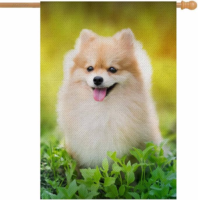 AOYEGO Pomeranian Dog House Flags 28 x 40 Double Sided Burlap Cute Spring Park Surrounded on Sunny Day Yard Flags Spring Summer Farmhouse Seasonal Outdoor Flag