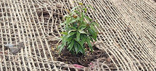 AK TRADING CO. SoilSaver-10Yard AK-Trading 10 Yards (30 feet Long) -120 Sq. Ft. Coverage Jute Erosion Control, Soil Saver Mesh Blanket-48 Wide x 10 Yards, 10 Yards, Natural