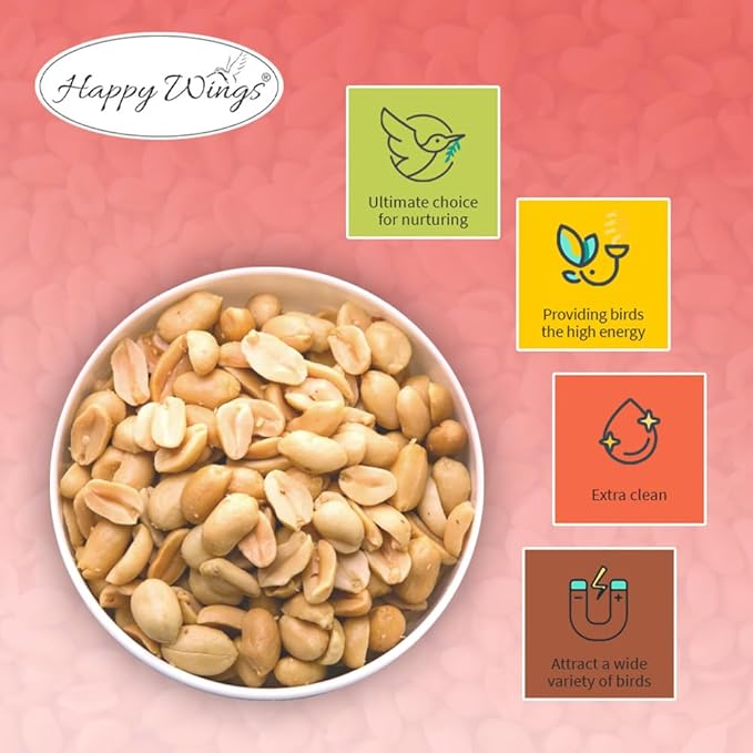 Happy Wings Shelled Peanuts Seeds Combo Wild Bird Food - 10 Pounds- 5 Pounds Combo Pack of 2 I No Grow Seed I Bird Food for Wild Birds
