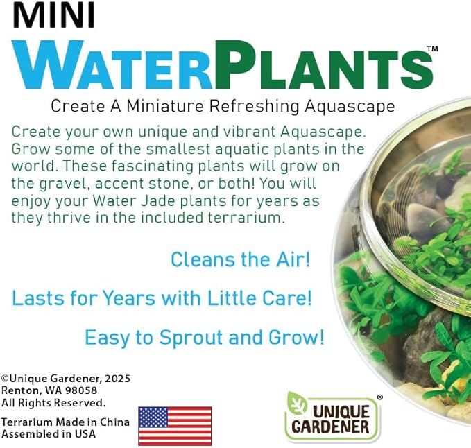 Mini WaterPlants - Create Your Own Soothing Aquasacape Starter Kit, Indoor Plant Glass Globe Terrariums with Complete Supplies, Just Add Water!