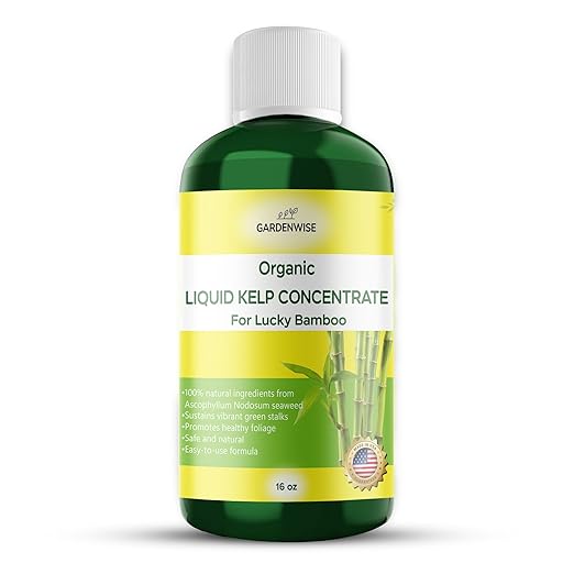 GARDENWISE Organic Premium Kelp Seaweed Liquid Fertilizer for Lucky Bamboo - Natural Soil Enhancer (16 OZ)