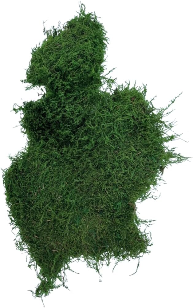 Preserved Sheet Moss - Natural Decorative Moss - Dried Moss for Crafts, Home Decor, Art, Design & DIY Projects - Non-Toxic - Green - Small