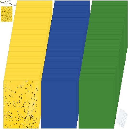 Qualirey 100 Pcs 6 x 8 Inch Sticky Traps for Plant Double Sided Sticky Trap for Gnats with Twist Ties Fly Traps for Fruit Insect Fungus Bugs Indoor Outdoor (Yellow,Blue,Green)