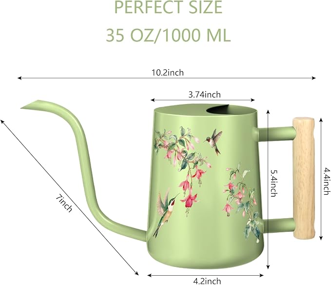 Watering Can Indoor Plants, 35oz Small Stainless Steel Metal Watering Can Modern Decorative Watering Pot with Long Spout for Indoor House Plant Bonsai Garden Flowers (Saga Green 2)