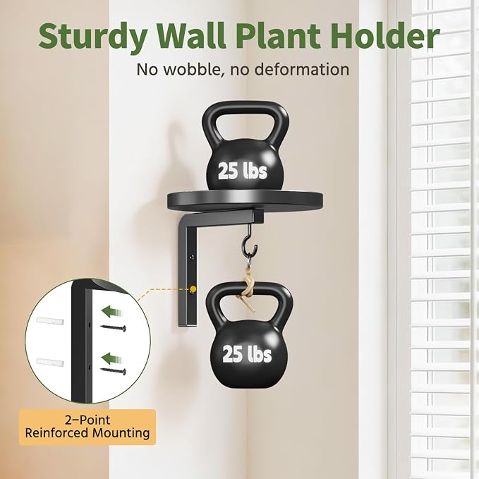 LASZOLA Plant Hangers Shelves Wall Mounted Indoor, Metal Window Plant Holders, 3Pcs Modern Floating Flower Display Stand with 3 Hooks for Outdoor Kitchen Bathroom Decor, Black