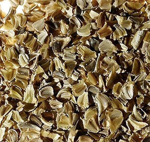 1500 African Field Daisy Seeds - Dimorphotheca Sinuata