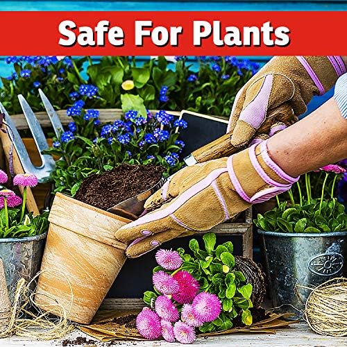 I Must Garden Deer Repellent: Spice Scent Deer Spray for Gardens & Plants – Natural Ingredients – 1 Gallon Ready to Use Refill