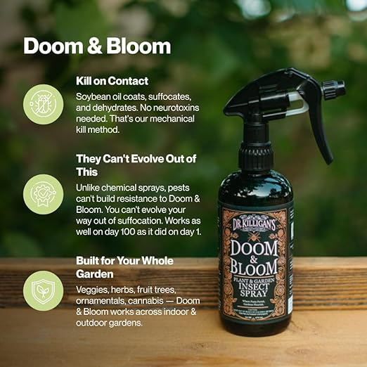Dr. Killigan’s Doom & Bloom House Plant Pest Spray - for Outdoor & Indoor Gardening, Kills Aphids, Spider Mites, Fungus Gnats & Thrips on Contact, Adjustable Trigger Sprayer (16 oz)
