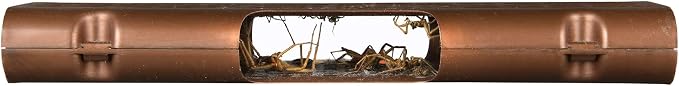 RESCUE! Spider Traps – Catches Brown Recluse, Hobo Spiders, Black Widows & Wolf Spiders - 4 Pack (12 Traps)
