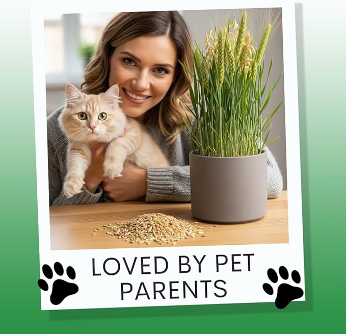 Cat Grass Seeds for Growing | 4 Way Blend, Rye, Wheat, Oats and Barley | Made in USA | Safe Non-GMO Pet Grass for Cats & Pets | Fast Sprouting (5 Pounds)