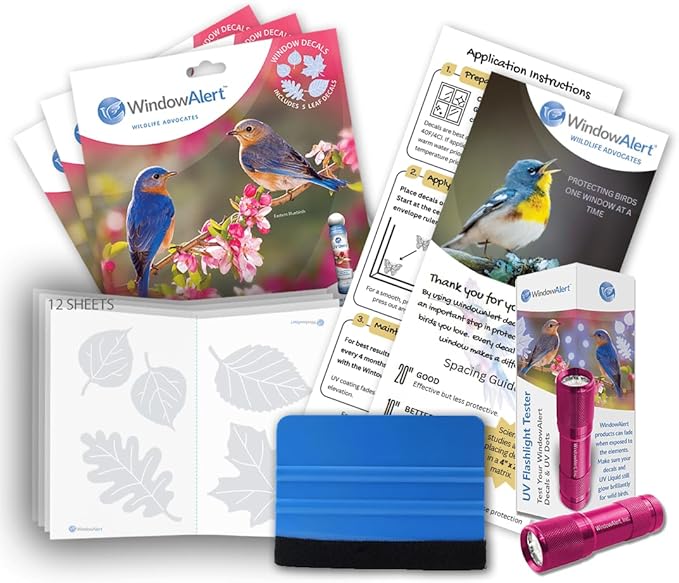 WindowAlert Leaf Medley Large Starter Pack - Bird Strike Prevention Decals (12 Envelopes) with UV Tester Flashlight & Application Squeegee - Made in USA