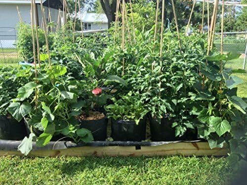 Best Root Pouch (5 Gallon)(10 Pack)(11"w x 10.25"H) Garden Grow Bag Container With Handles. Grow Bigger and Healthier Tomatoes, Veggies and Herbs In Soft Pots.