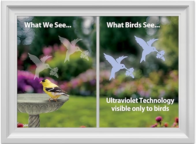 WindowAlert Hummingbird Anti-Collision Decal 4 Pack - UV-Reflective Window Decal to Protect Wild Birds from Glass Collisions - Made in The USA