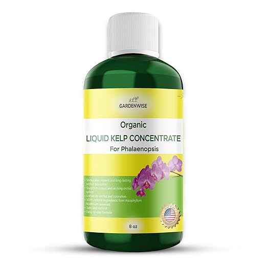 GARDENWISE Organic Premium Kelp Seaweed Concentrate: Fertilizer for Phalaenopsis Orchids – Liquid Plant Fertilizer – Orchid Bloom Booster – Seaweed Extract for Plants (8 OZ)